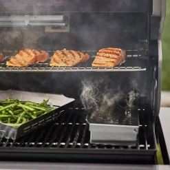 Summit FS38X E Smarter Gasgrill