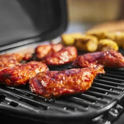 Weber Traveler® Compact Gasgrill